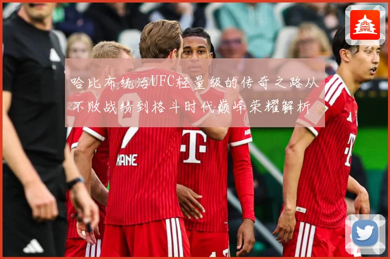 哈比布统治UFC轻量级的传奇之路从不败战绩到格斗时代巅峰荣耀解析：最新赛事动态与深度分析