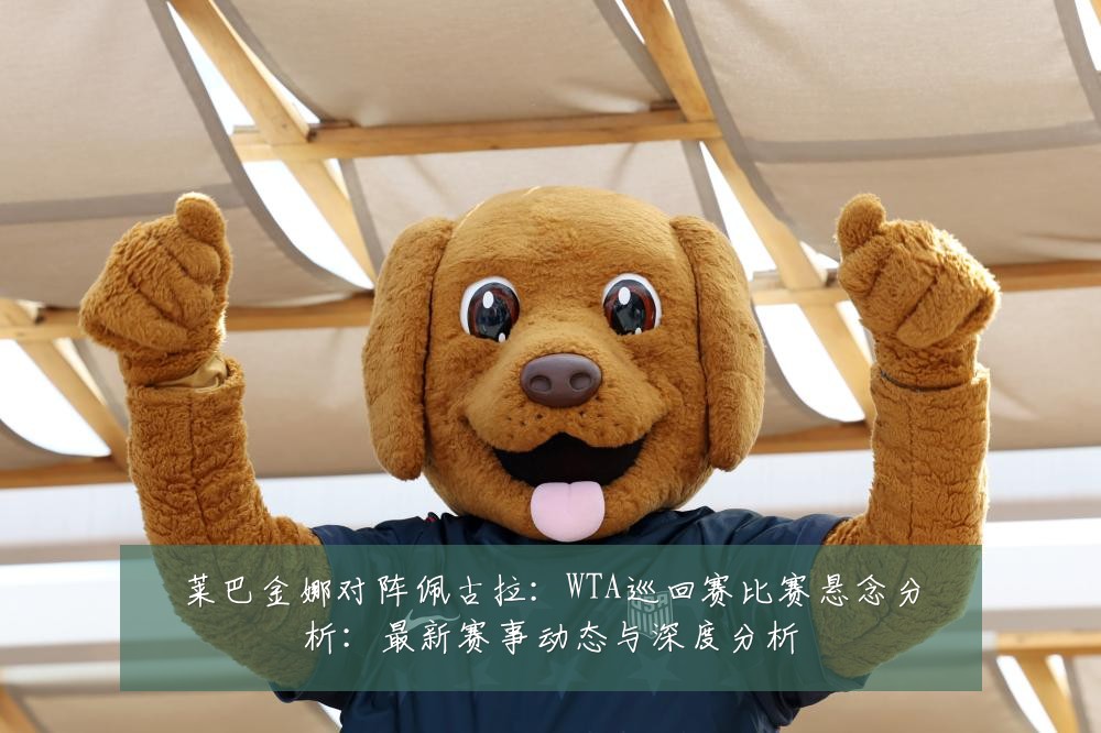 莱巴金娜对阵佩古拉:WTA巡回赛比赛悬念分析:最新赛事动态与深度分析